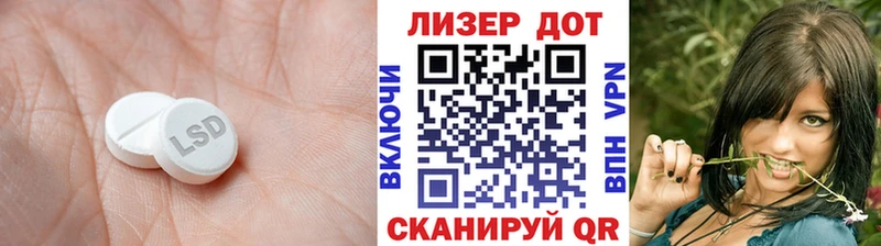 kraken онион  Бердск  LSD-25 экстази ecstasy 