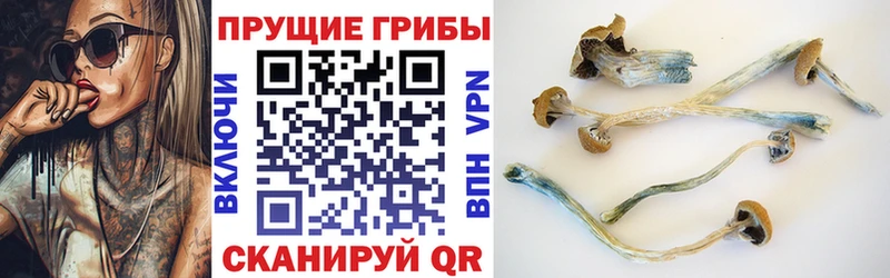 Галлюциногенные грибы Magic Shrooms  Бердск 